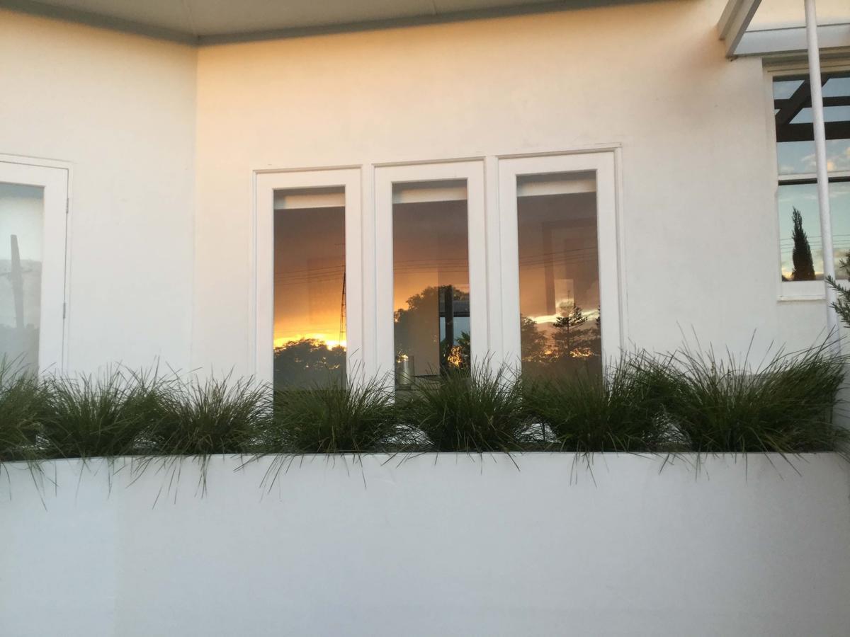 巴罗莎白楼西翼住宿加早餐旅馆 Angaston 外观 照片